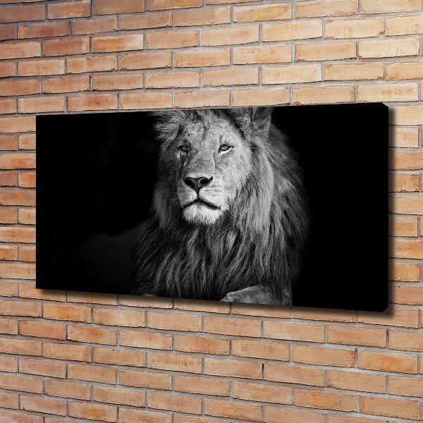 Canvas wall art Lion