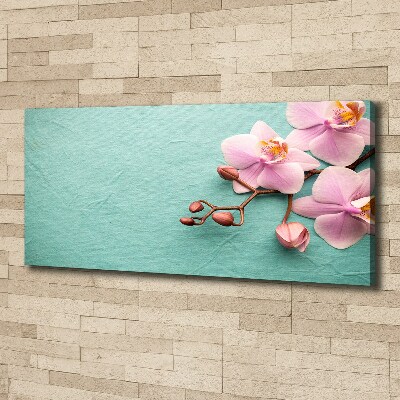 Canvas wall art Orchid