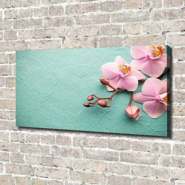 Canvas wall art Orchid