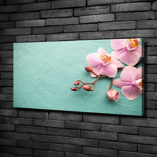 Canvas wall art Orchid