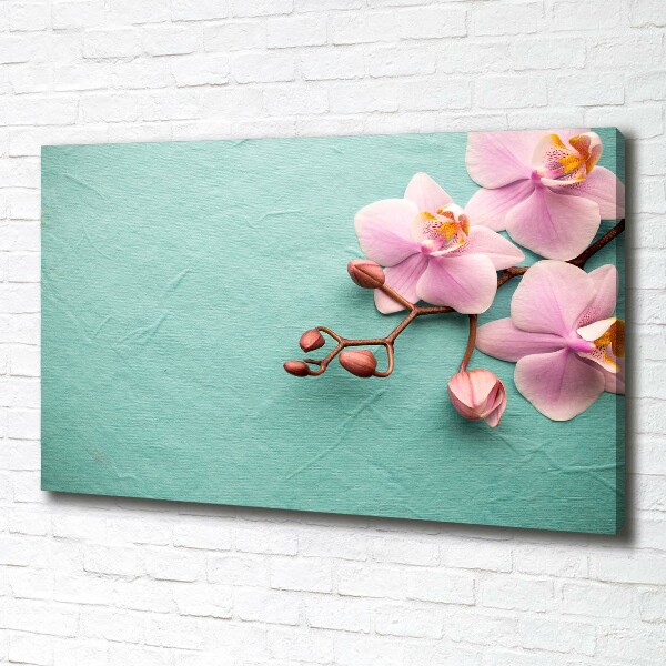 Canvas wall art Orchid