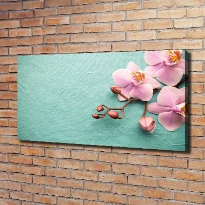 Canvas wall art Orchid