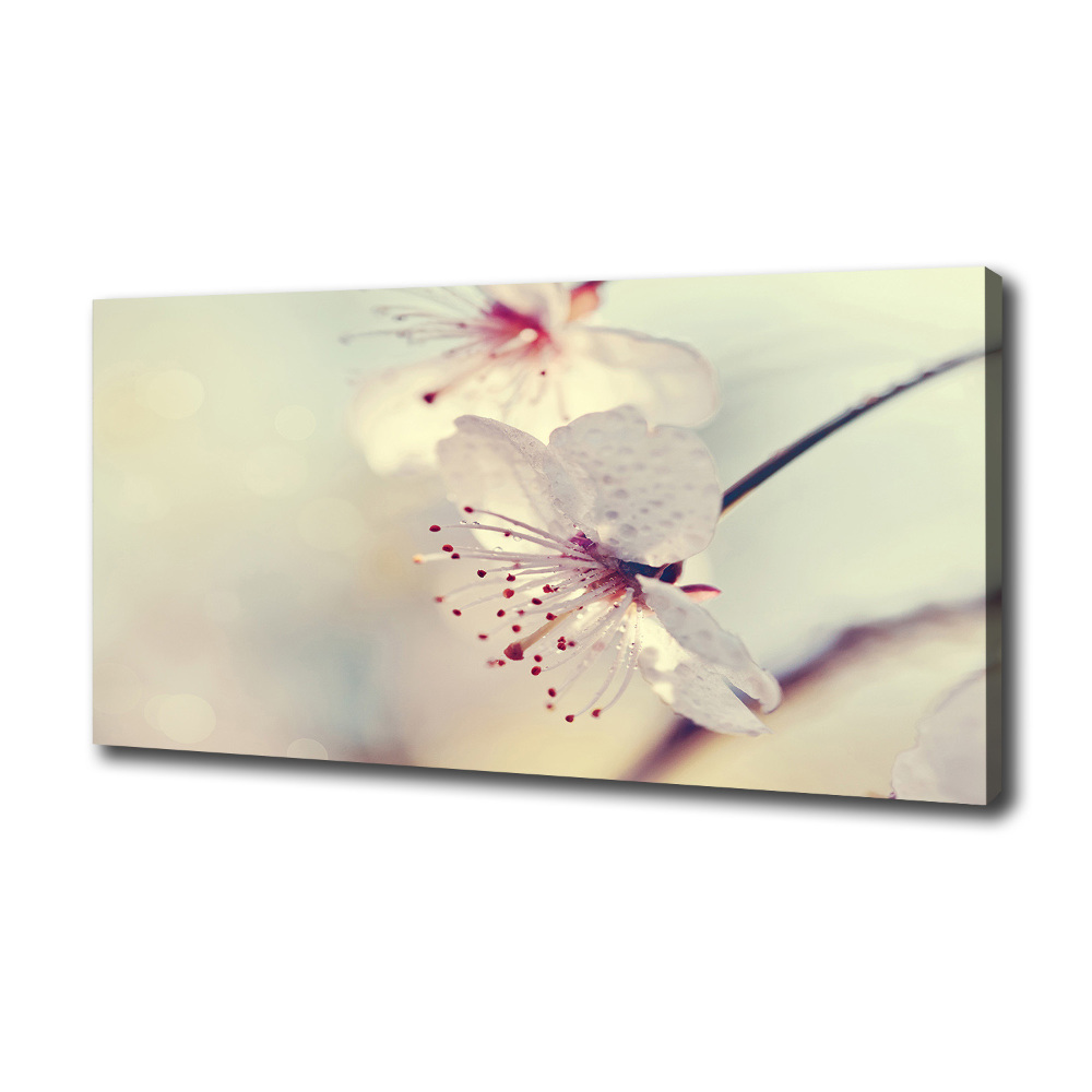 Canvas wall art Cherry Blossom