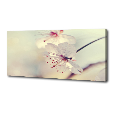 Canvas wall art Cherry Blossom