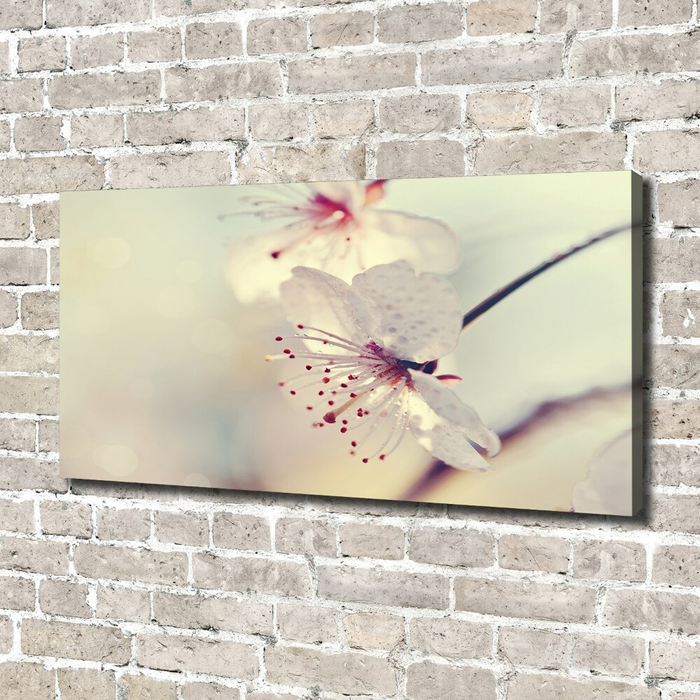 Canvas wall art Cherry Blossom