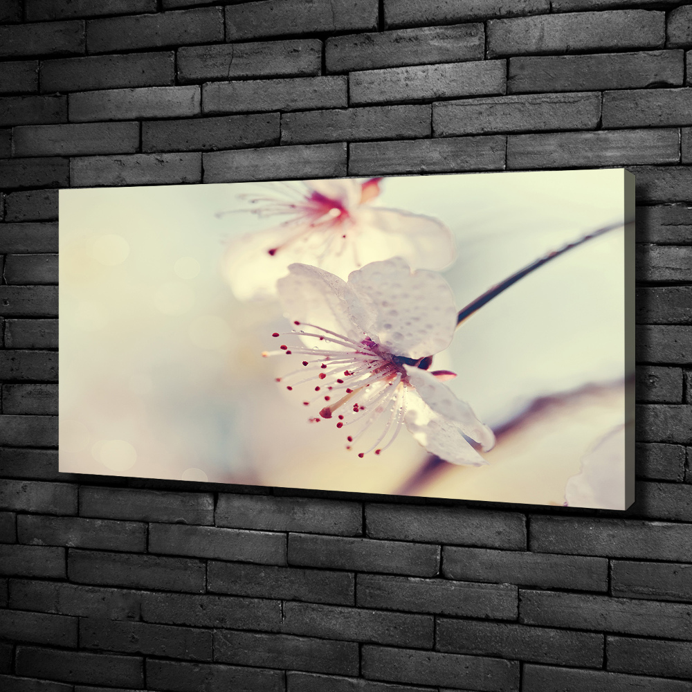 Canvas wall art Cherry Blossom