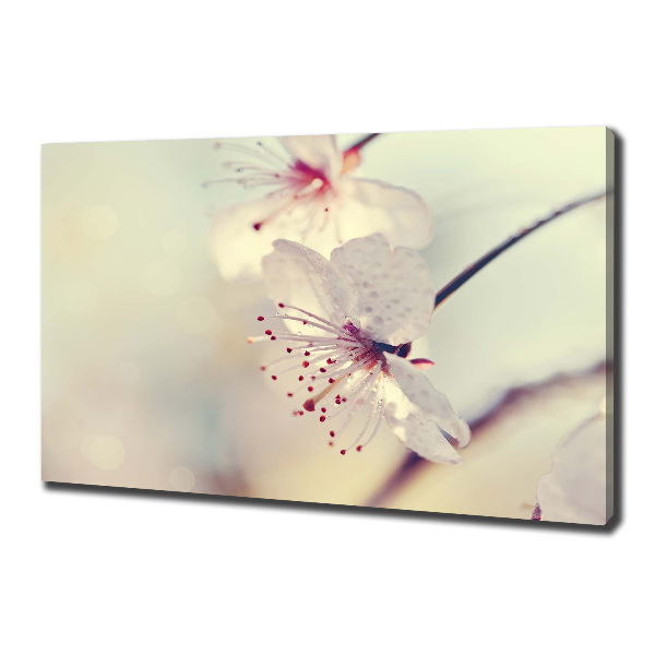 Canvas wall art Cherry Blossom