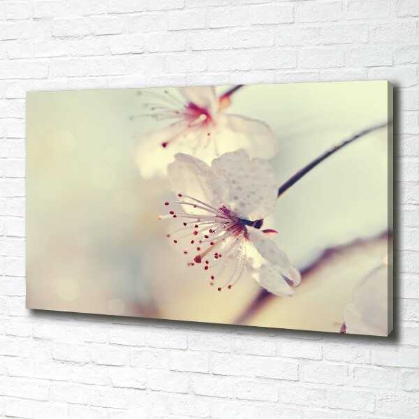 Canvas wall art Cherry Blossom