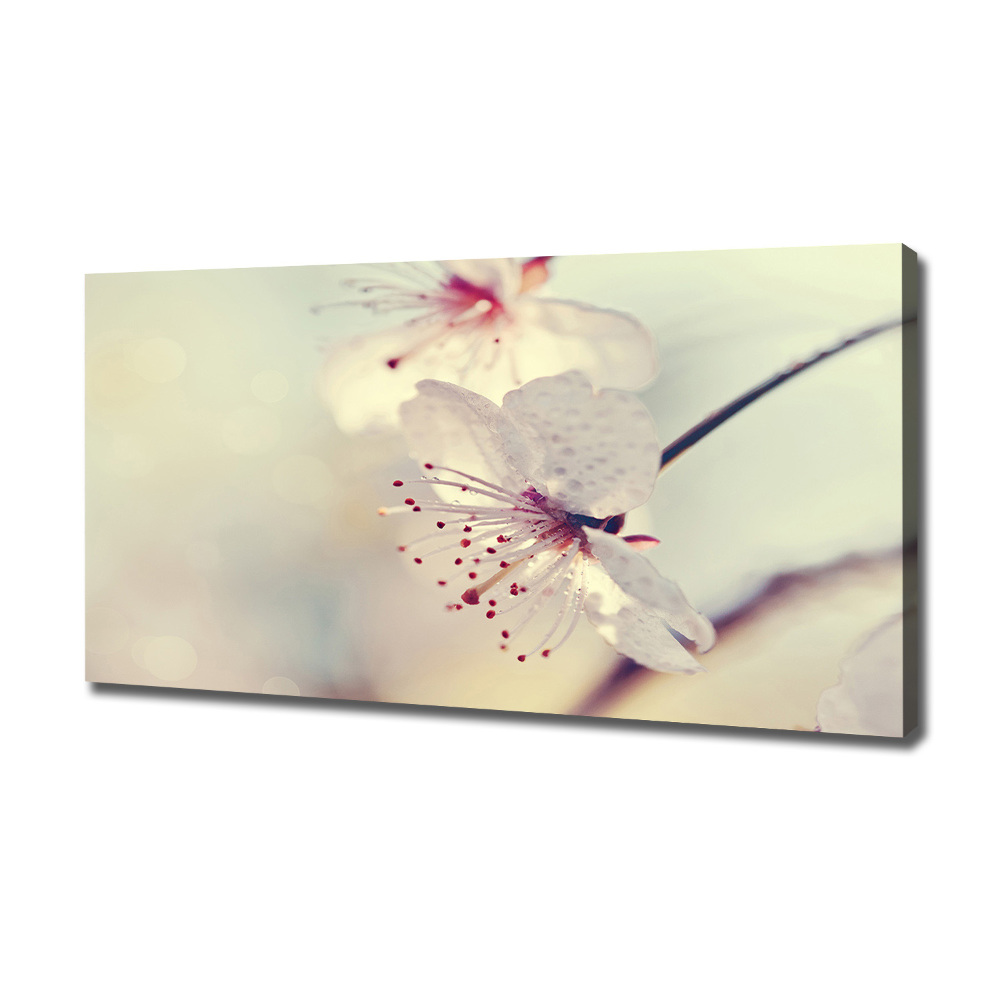 Canvas wall art Cherry Blossom