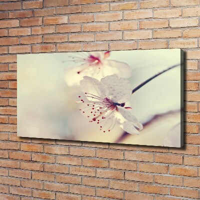 Canvas wall art Cherry Blossom