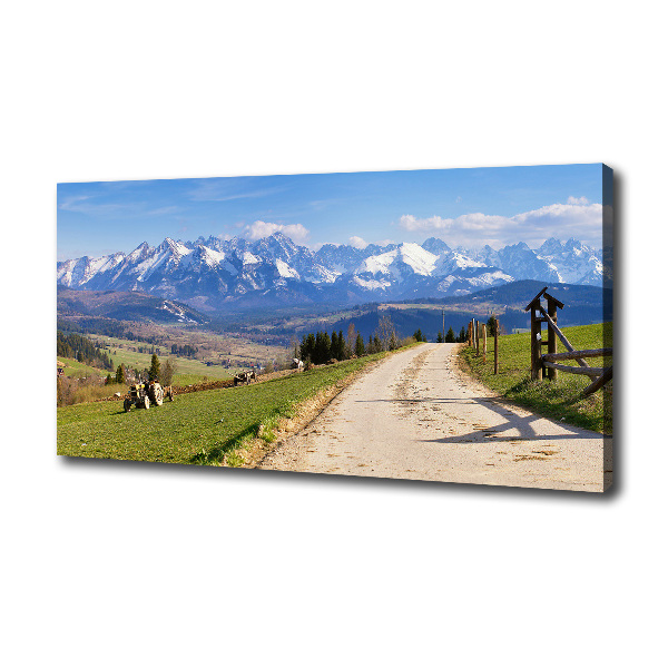 Canvas wall art Panorama of the Tatra Mountains