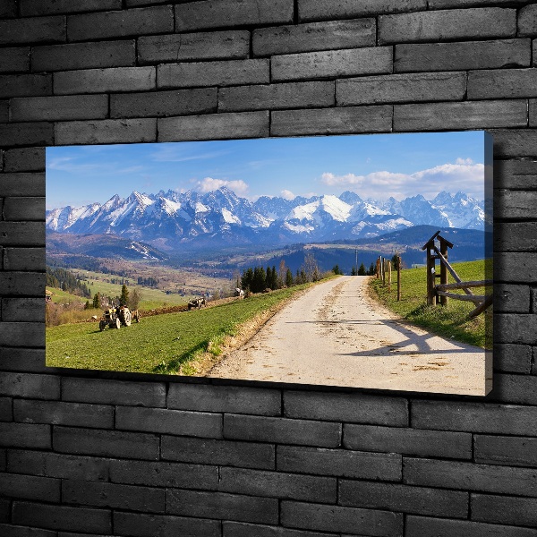 Canvas wall art Panorama of the Tatra Mountains