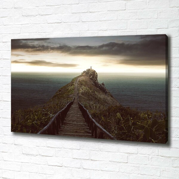 Canvas wall art Path on the rock