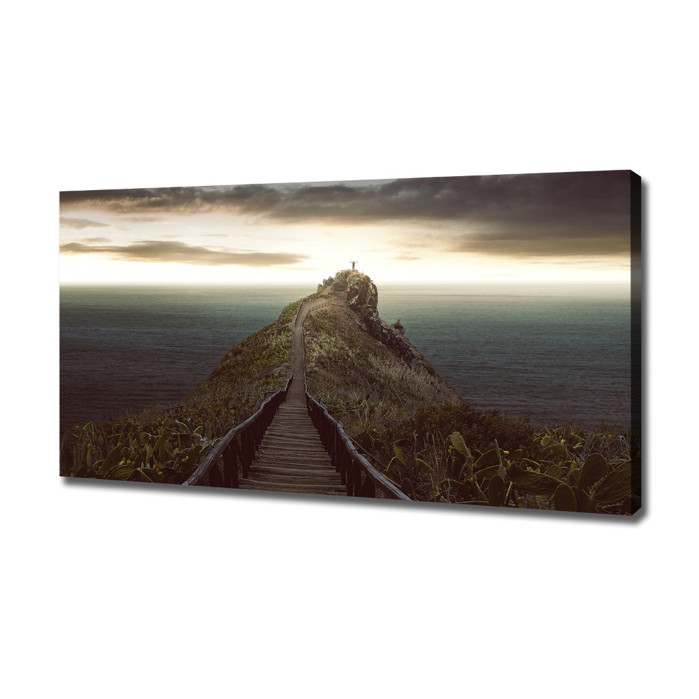 Canvas wall art Path on the rock