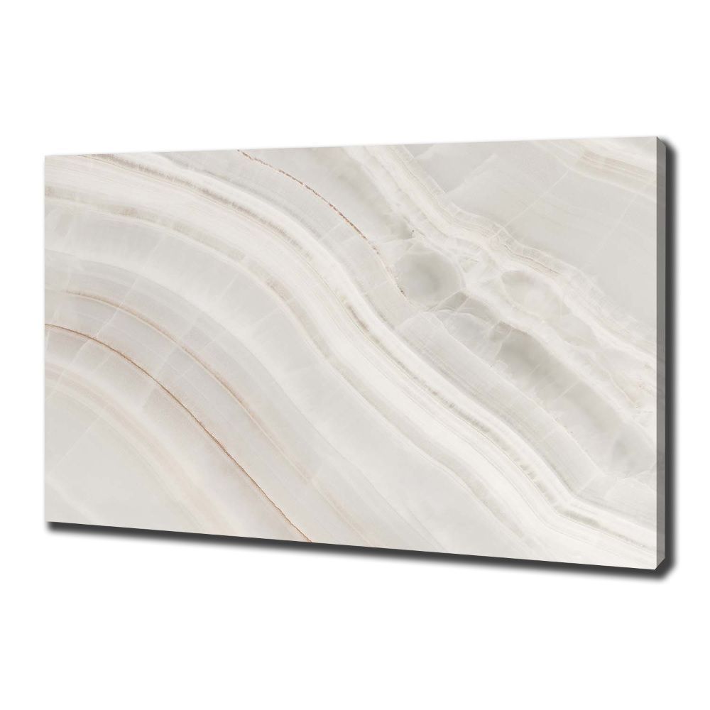 Canvas wall art Marble texture