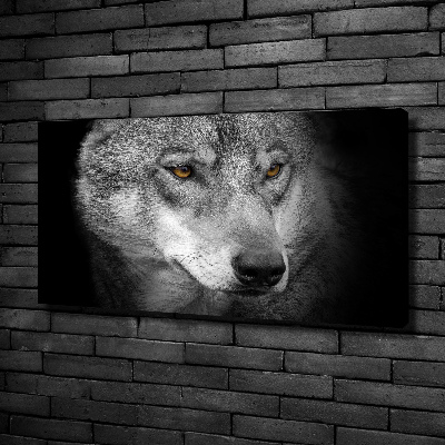 Canvas wall art Wolf