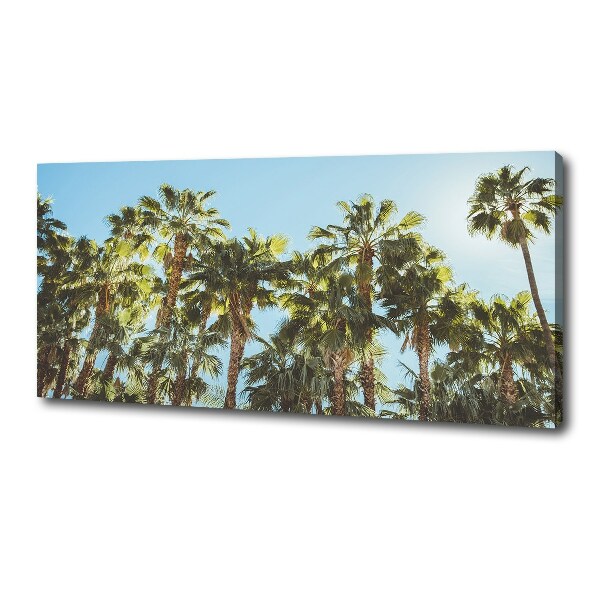 Canvas wall art High palm trees