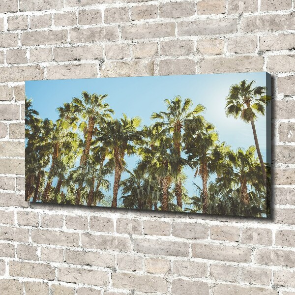 Canvas wall art High palm trees