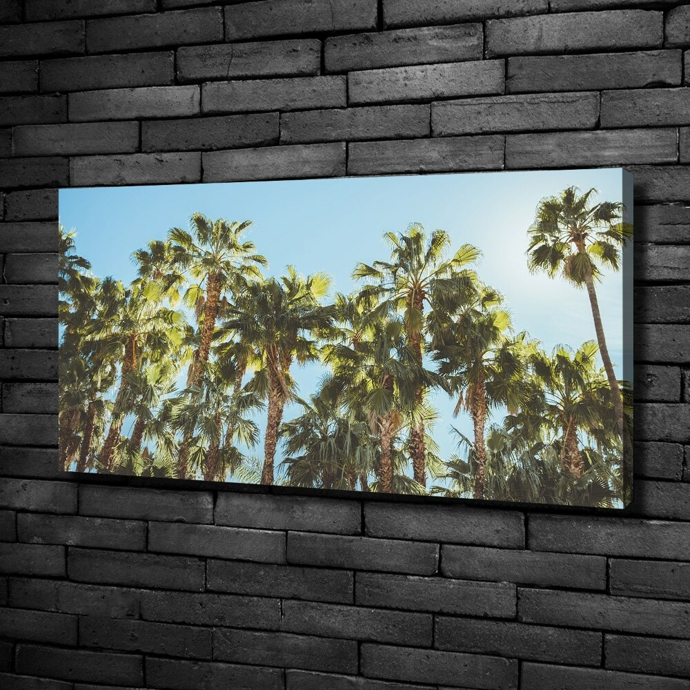 Canvas wall art High palm trees