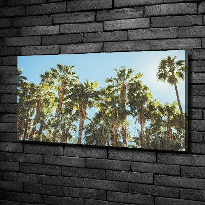 Canvas wall art High palm trees