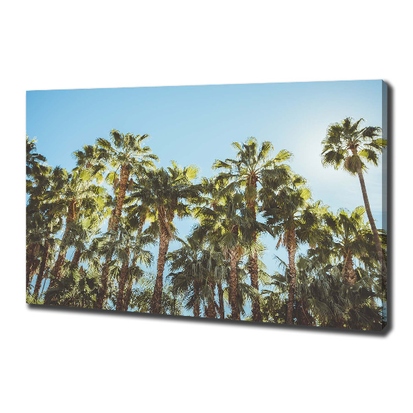 Canvas wall art High palm trees