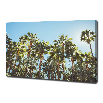 Canvas wall art High palm trees