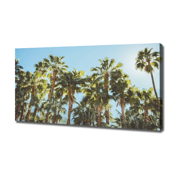 Canvas wall art High palm trees