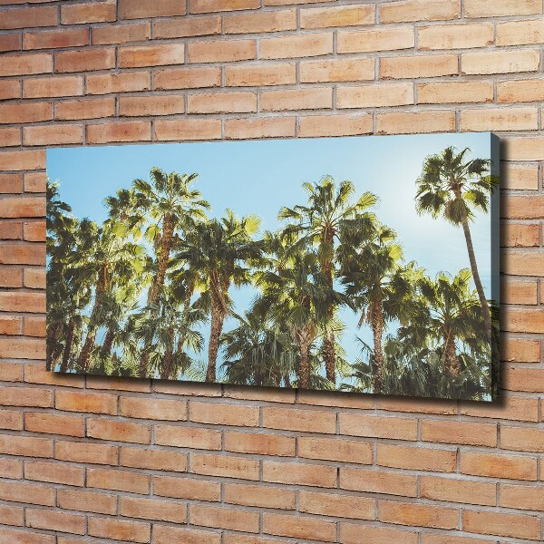 Canvas wall art High palm trees