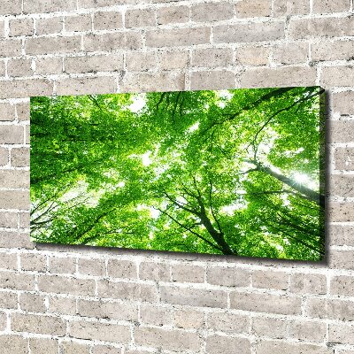 Canvas wall art Green Forest