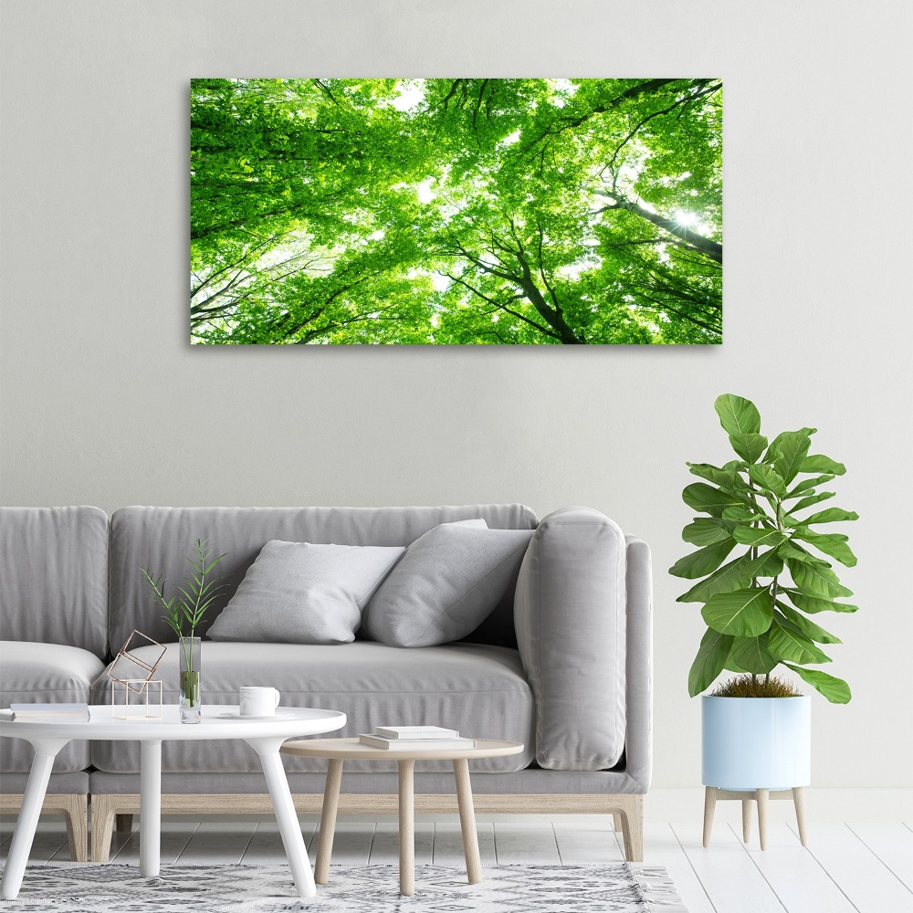 Canvas wall art Green Forest