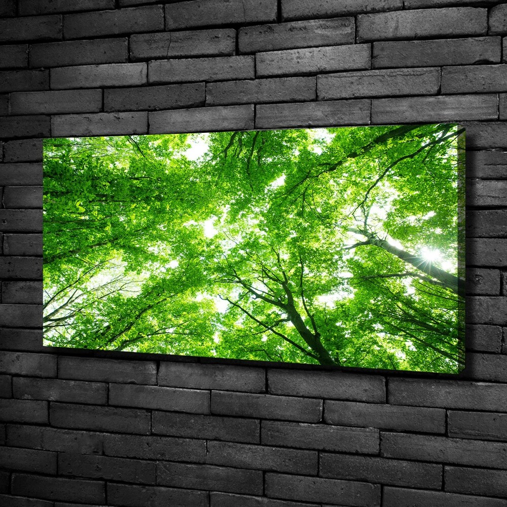 Canvas wall art Green Forest