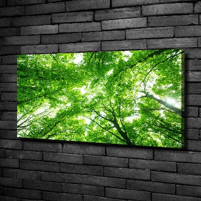 Canvas wall art Green Forest