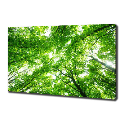 Canvas wall art Green Forest