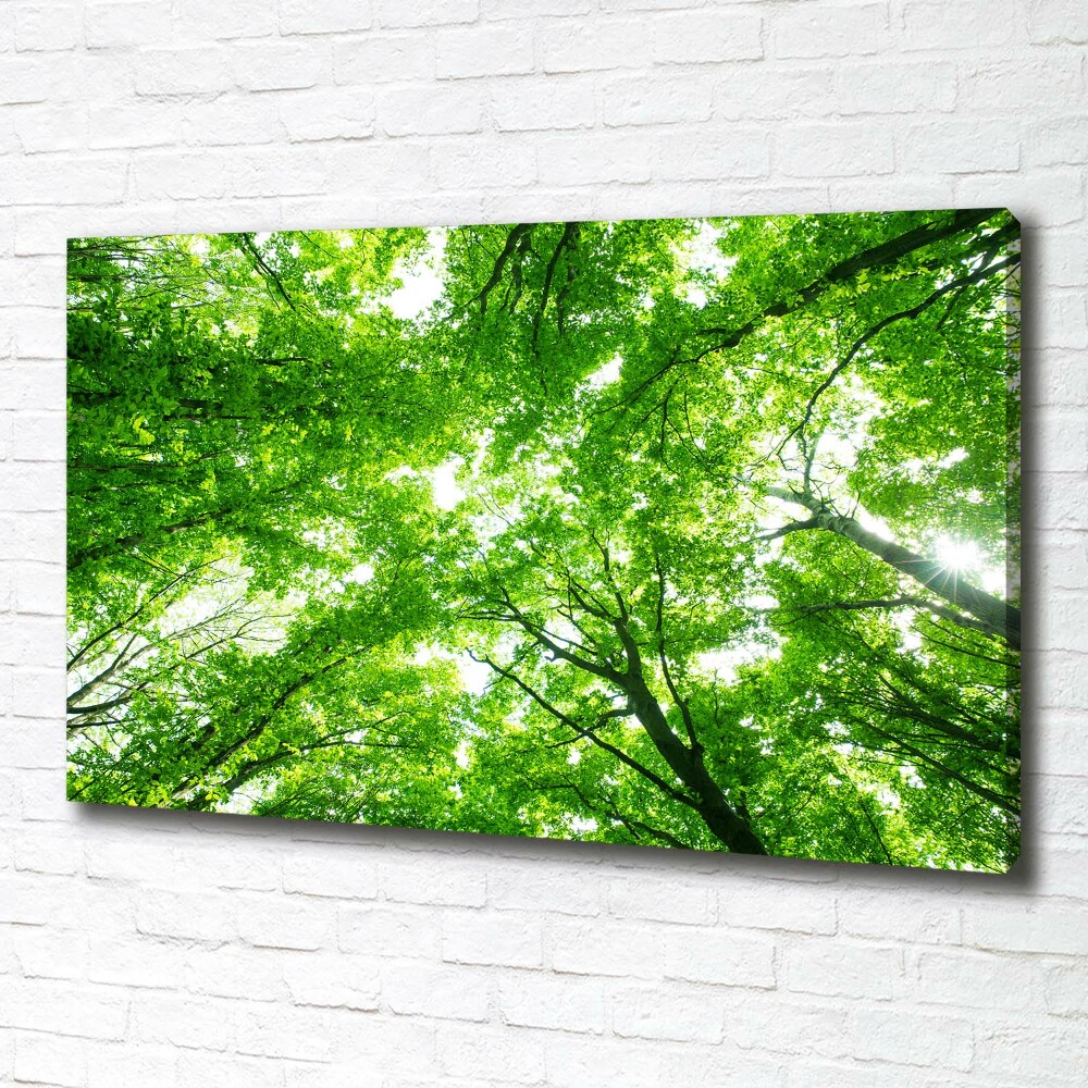 Canvas wall art Green Forest