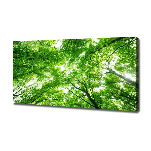 Canvas wall art Green Forest