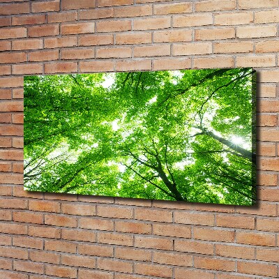 Canvas wall art Green Forest