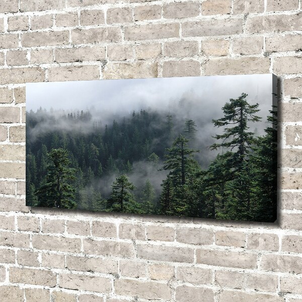 Canvas wall art Forest fog