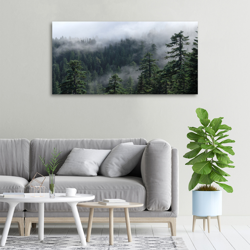 Canvas wall art Forest fog