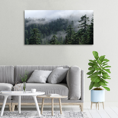 Canvas wall art Forest fog