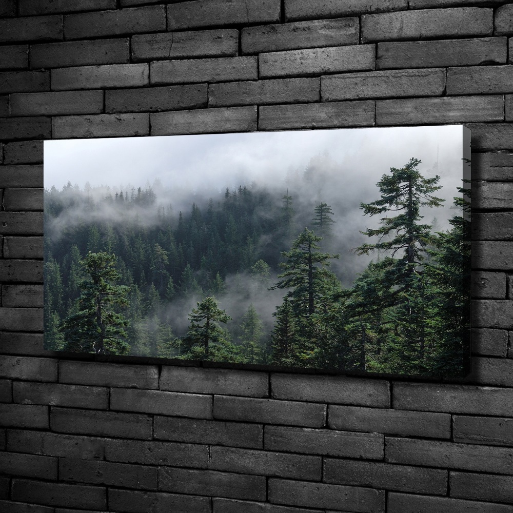 Canvas wall art Forest fog