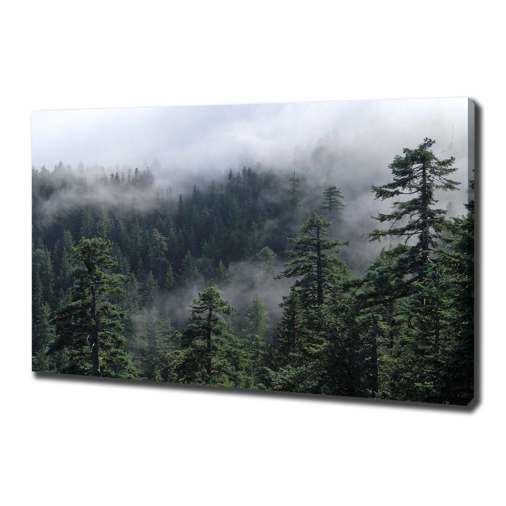 Canvas wall art Forest fog