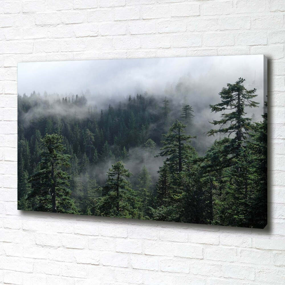 Canvas wall art Forest fog