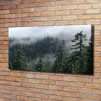 Canvas wall art Forest fog