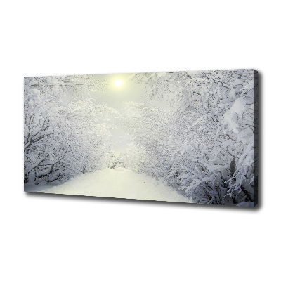 Canvas wall art A beautiful forest in winter