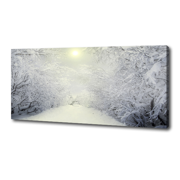 Canvas wall art A beautiful forest in winter