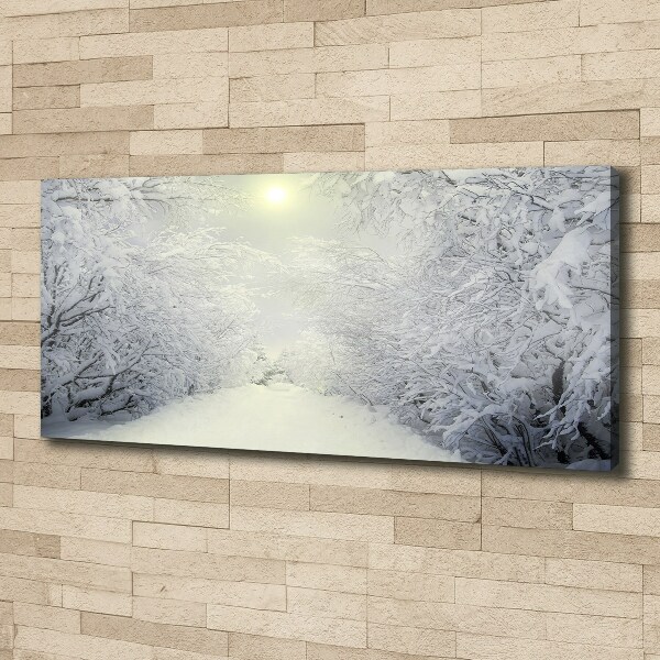 Canvas wall art A beautiful forest in winter