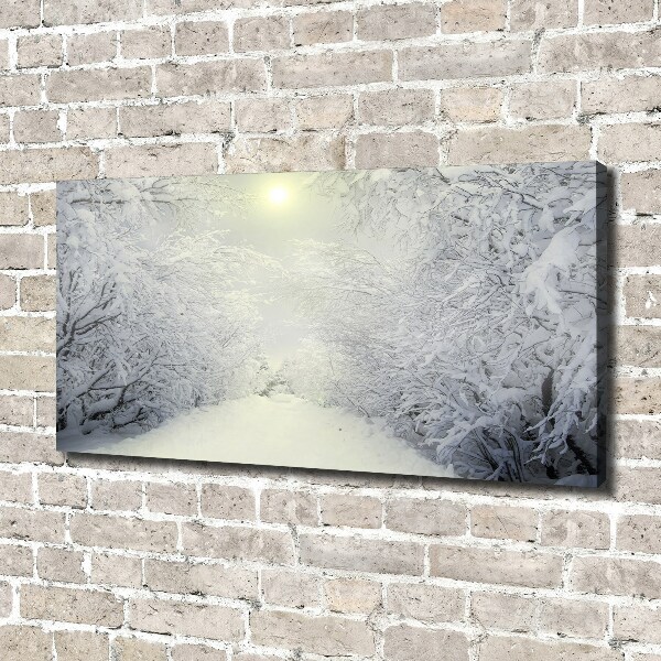 Canvas wall art A beautiful forest in winter