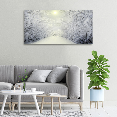 Canvas wall art A beautiful forest in winter