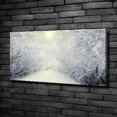 Canvas wall art A beautiful forest in winter