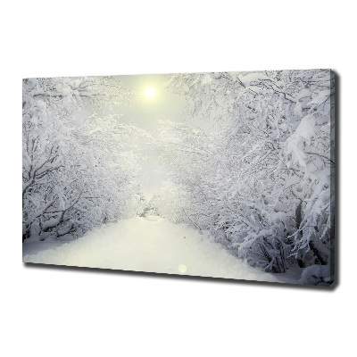 Canvas wall art A beautiful forest in winter